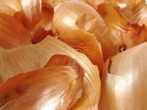Использование луковой шелухи в садоводстве
