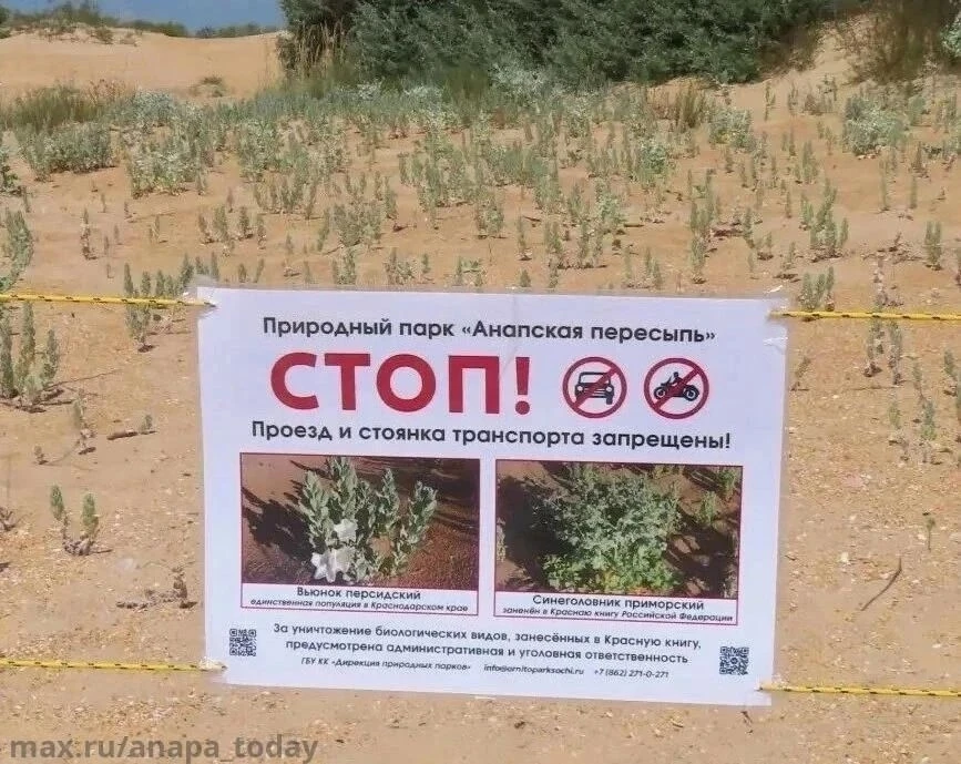 📋 Более 300 протоколов составлено в природном парке «Анапская пересыпь» только за летн...