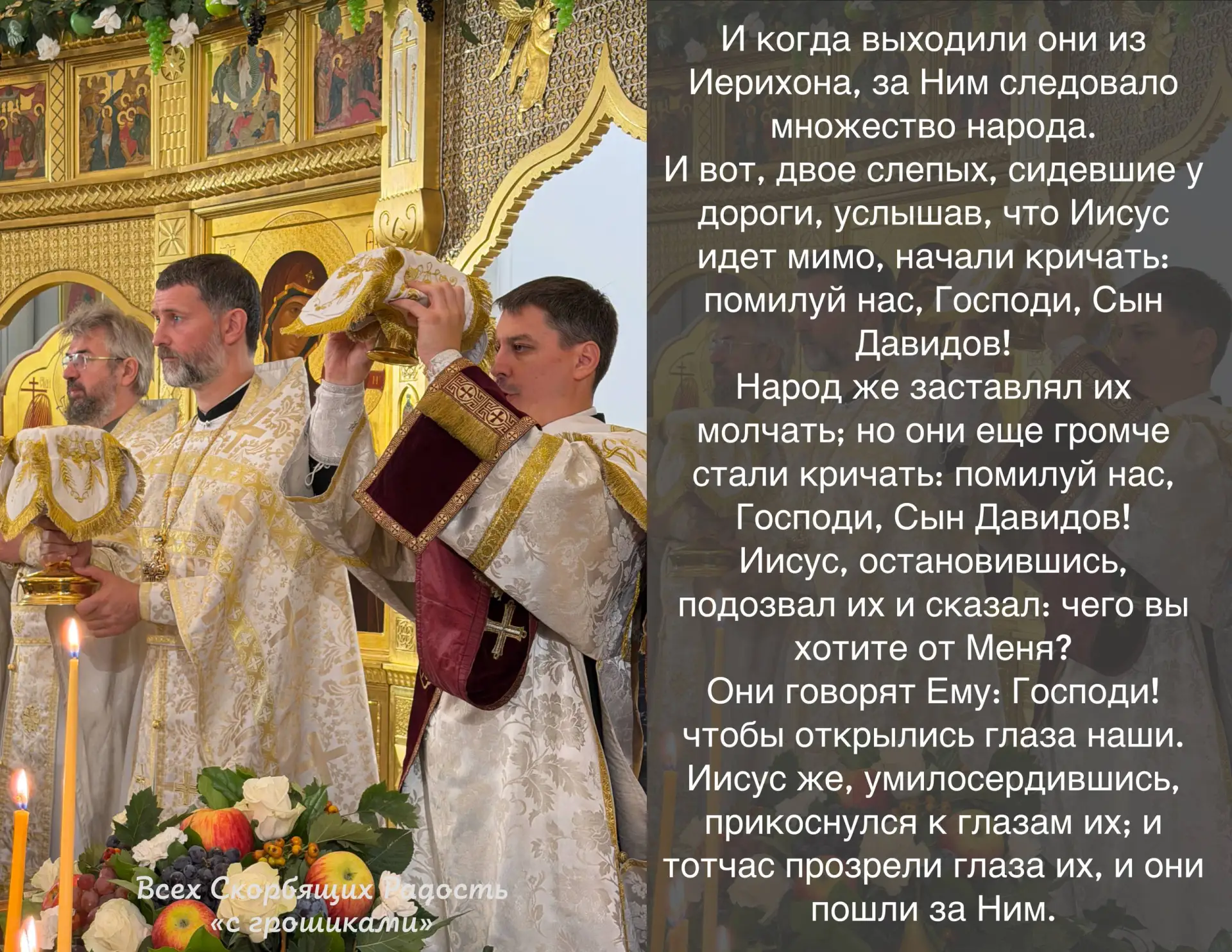 📖 Евангелие сегодняшнего дня. Мф. 20:29-34