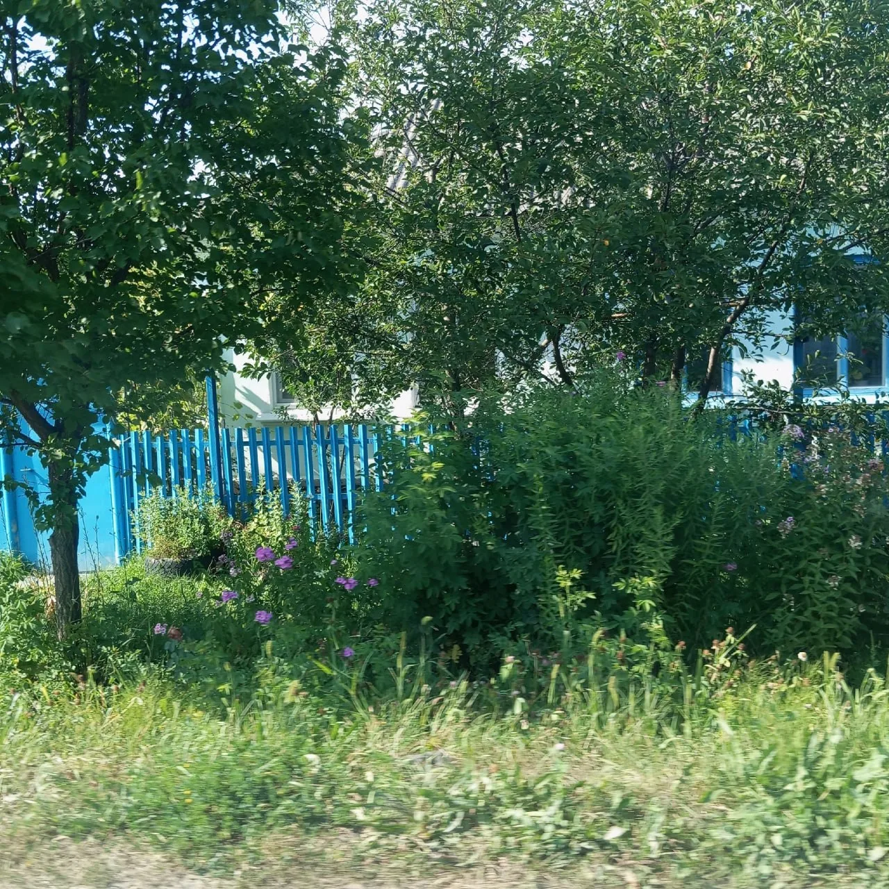 «Необходимо принять меры по обеспечению безопасного прохода пешеходов на улицах Песочна...