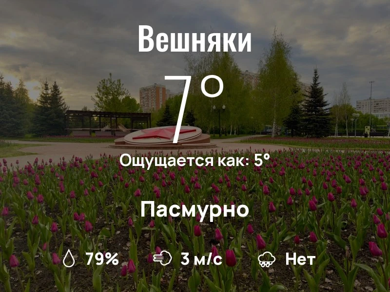 Что с погодой в Вешняках?