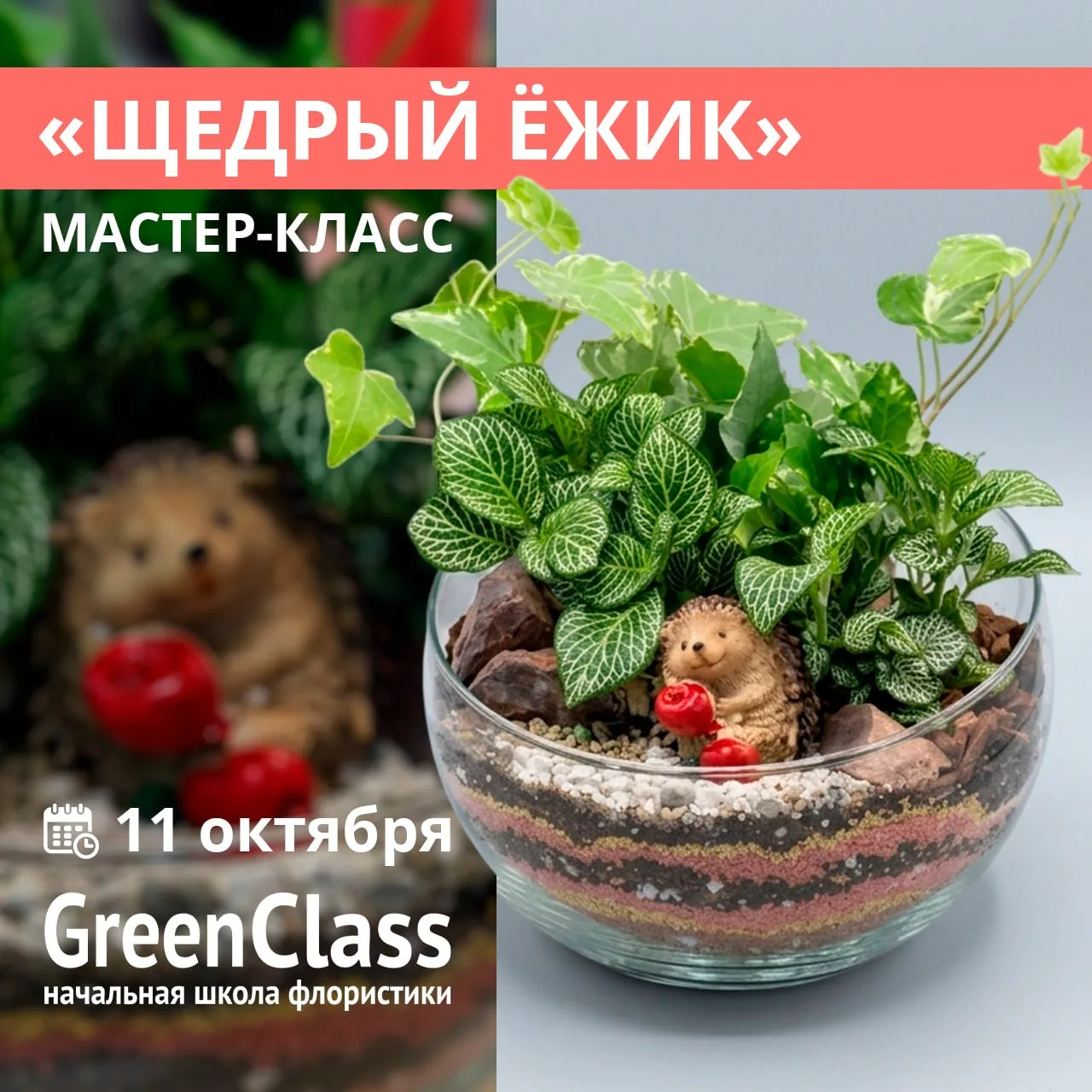🌿 ОТКРЫТА ЗАПИСЬ НА АГРОНОМИЧЕСКИЙ МАСТЕР-КЛАСС "ЩЕДРЫЙ ЁЖИК"
