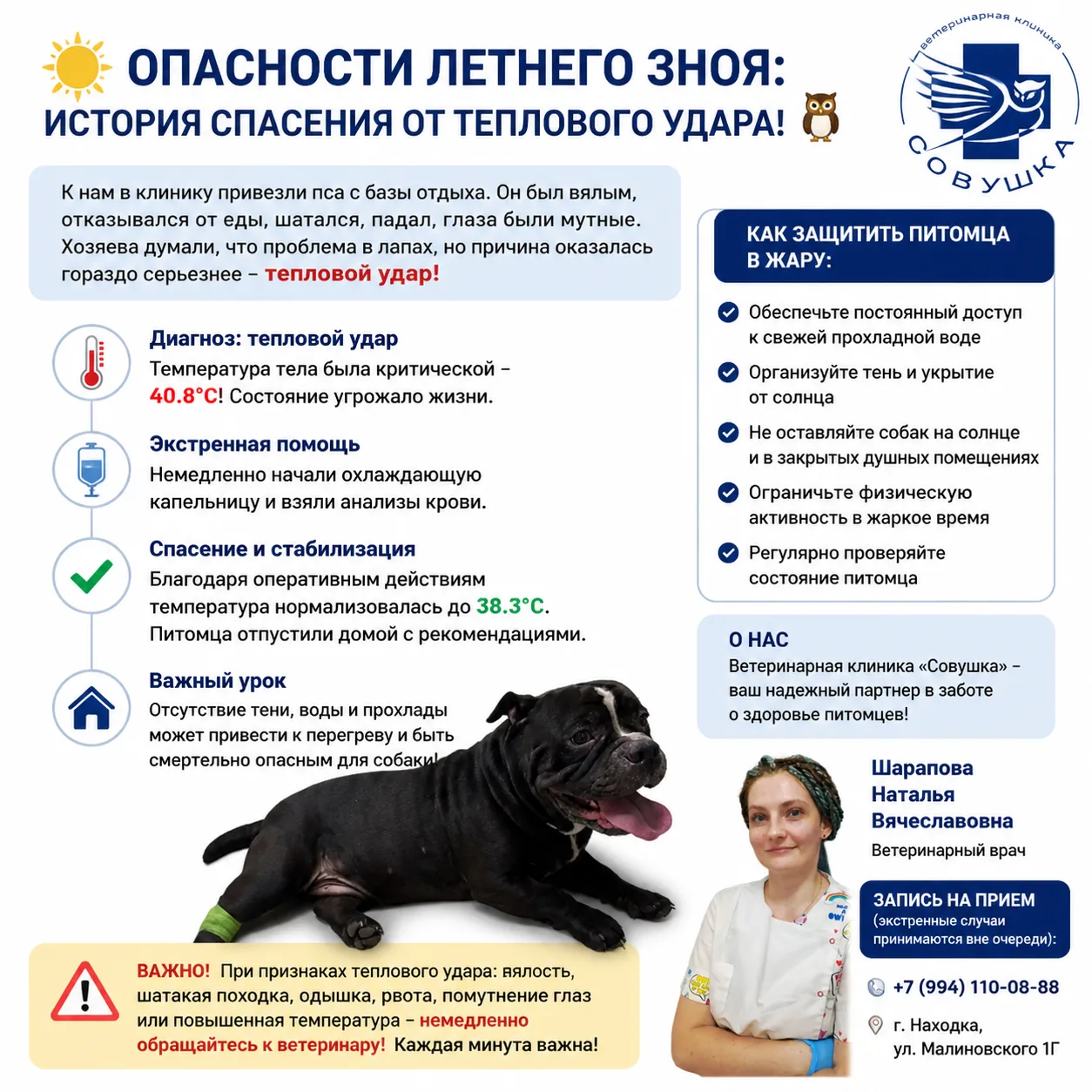 ☀️ Опасности летнего зноя: история спасения от теплового удара! 🦉