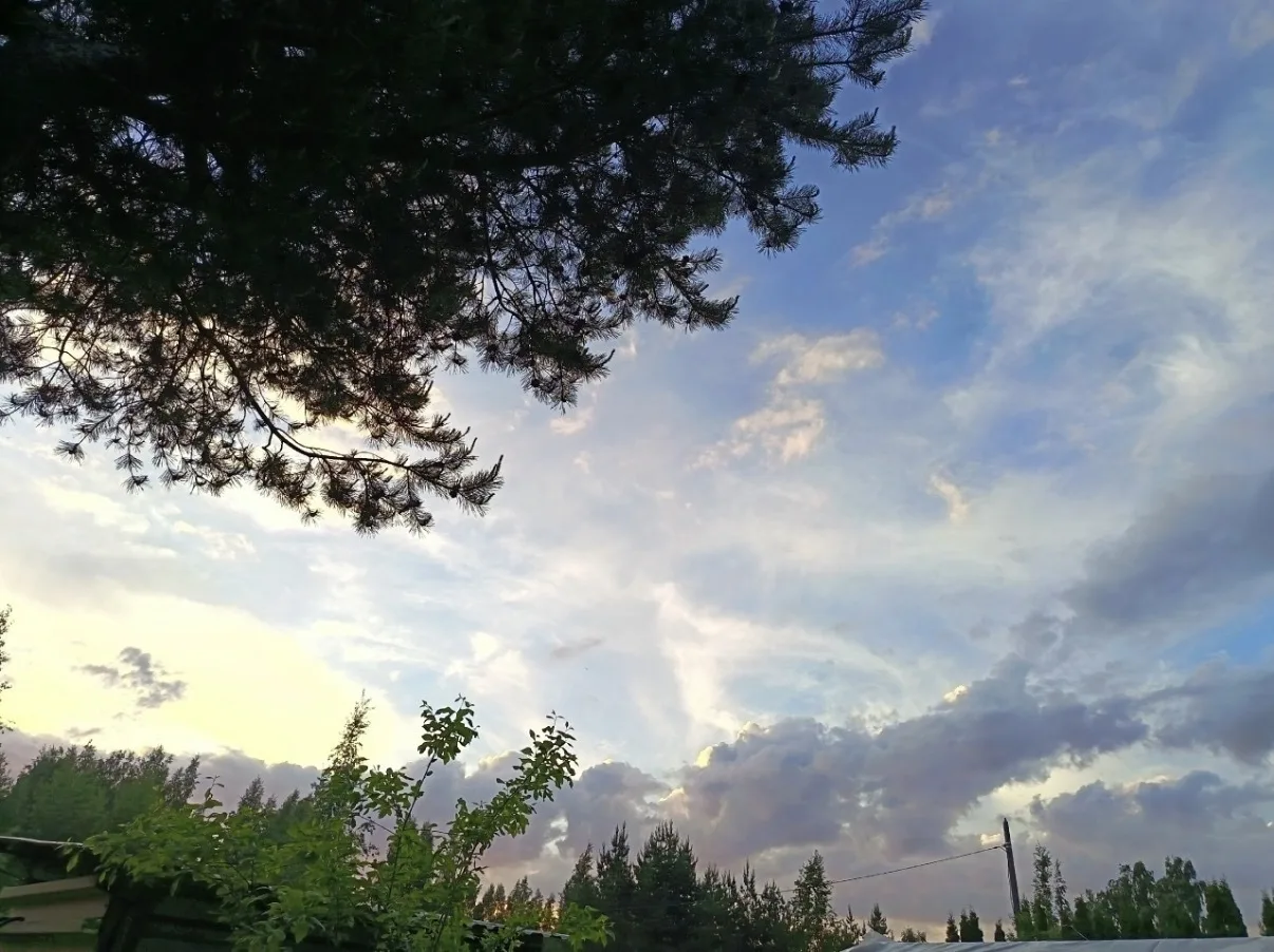 Ломоносовский район, Жилгородок

#лл_ломоносовскийрайон

Фото Светлана Зайцева

❤️ Подпишись на Люби