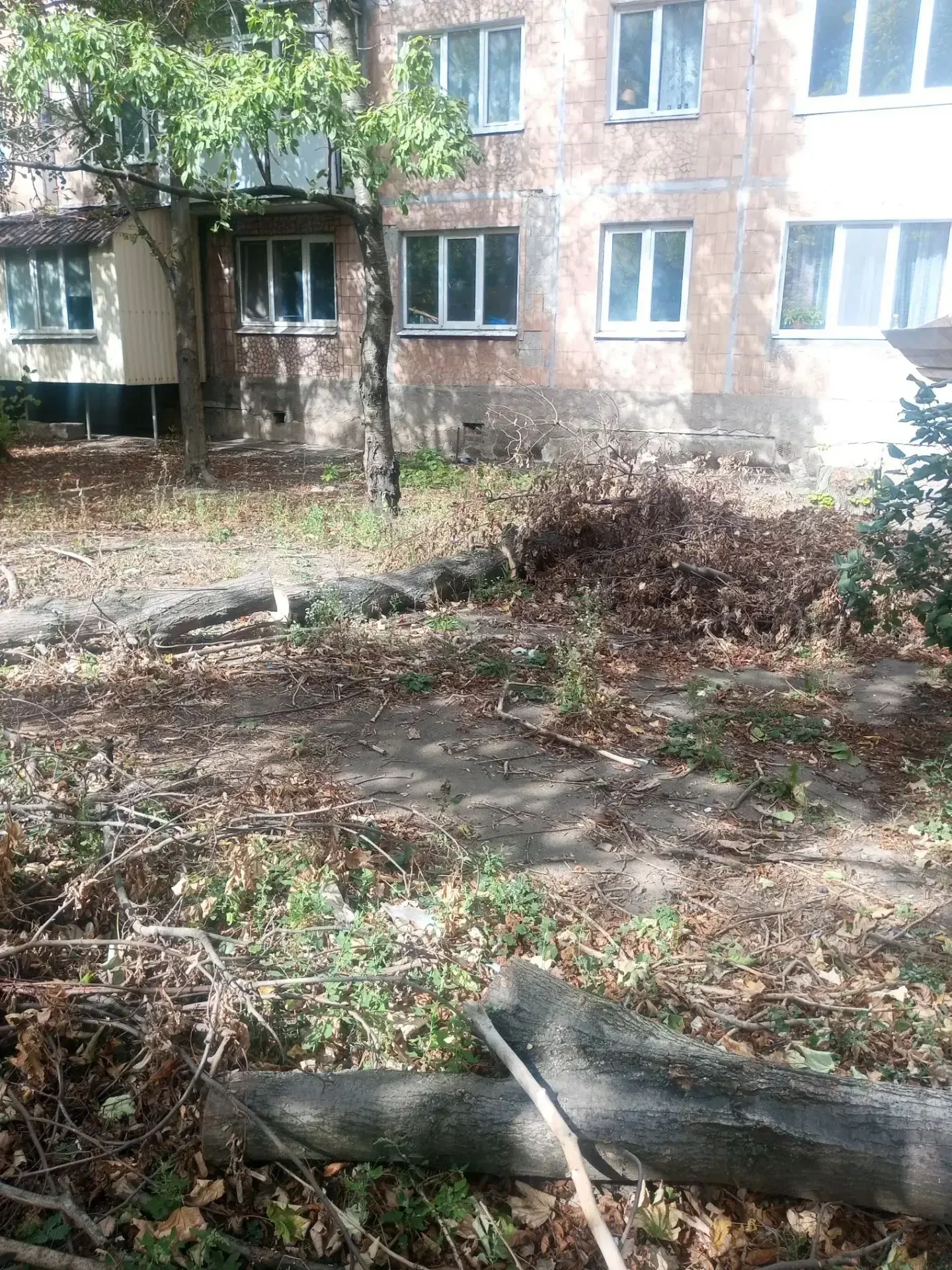 ГУП ДНР "Донснабкомплект" присоединился к субботнику🍀. Силами предприятия убрано скопл...