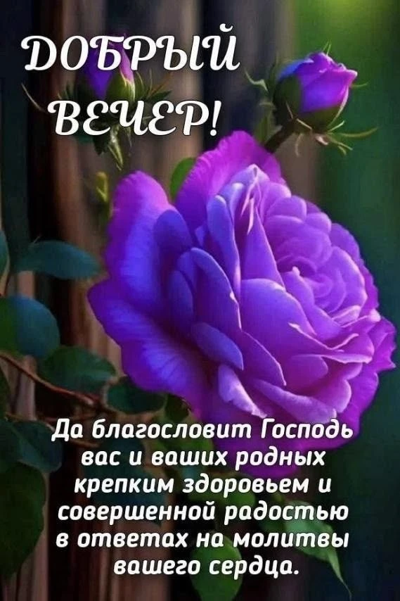 🥰 Оставляйте реакции, если понравилась открытка и делитесь с близкими ❤️

Лучшие Открытки в MAX