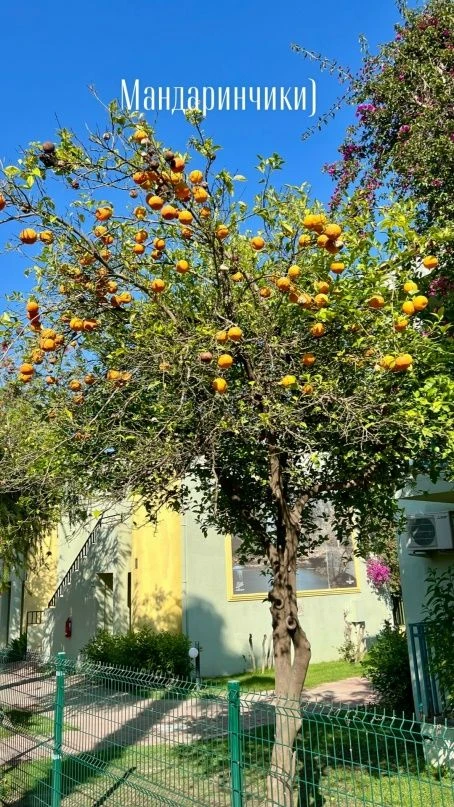 Начнем сегодняшний день с ваших отзывов🤩