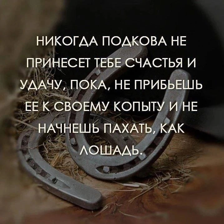 #Мудрость