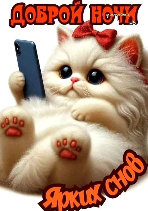 🥰 Оставляйте реакции, если понравилась видео и делитесь с близкими ❤️