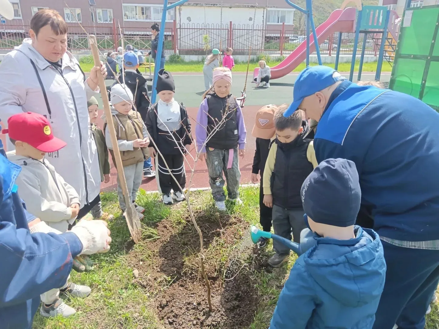 🌳 Каждое дерево — символ памяти и благодарности мирных поколений. С большим трепетом р...
