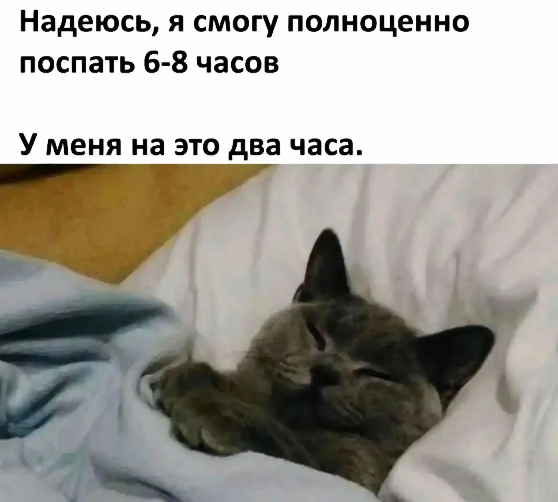 Можно ли выспаться за 2–3 часа?