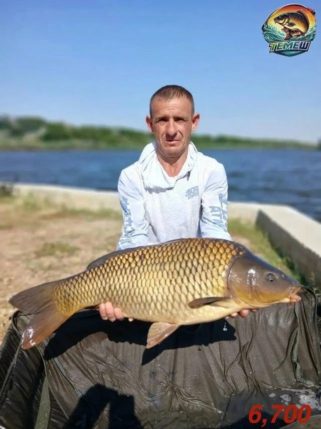 🌊 Темеш 7.08
▫️о водоеме в ТГ
▫️о водоеме в MAX

#темеш #крымрыбалка

❗️МЫ В МАХ, ПОДПИШИСЬ❗️
