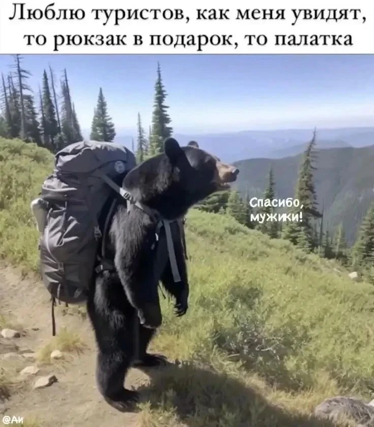 Не удержалась, решила поделиться. У нас в Сибири таких туристов можно встретить.