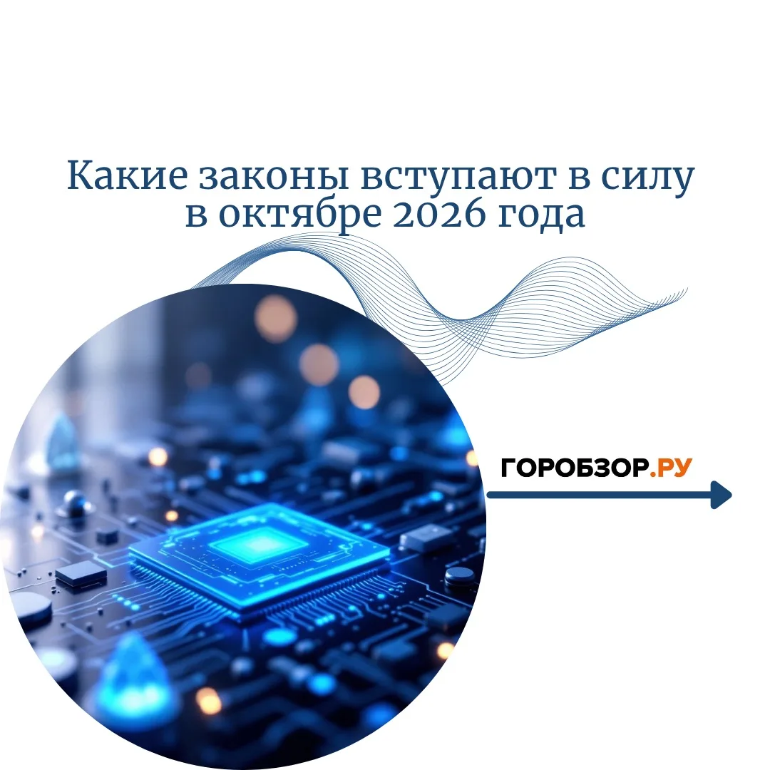 ✅Какие законы вступают в силу в октябре