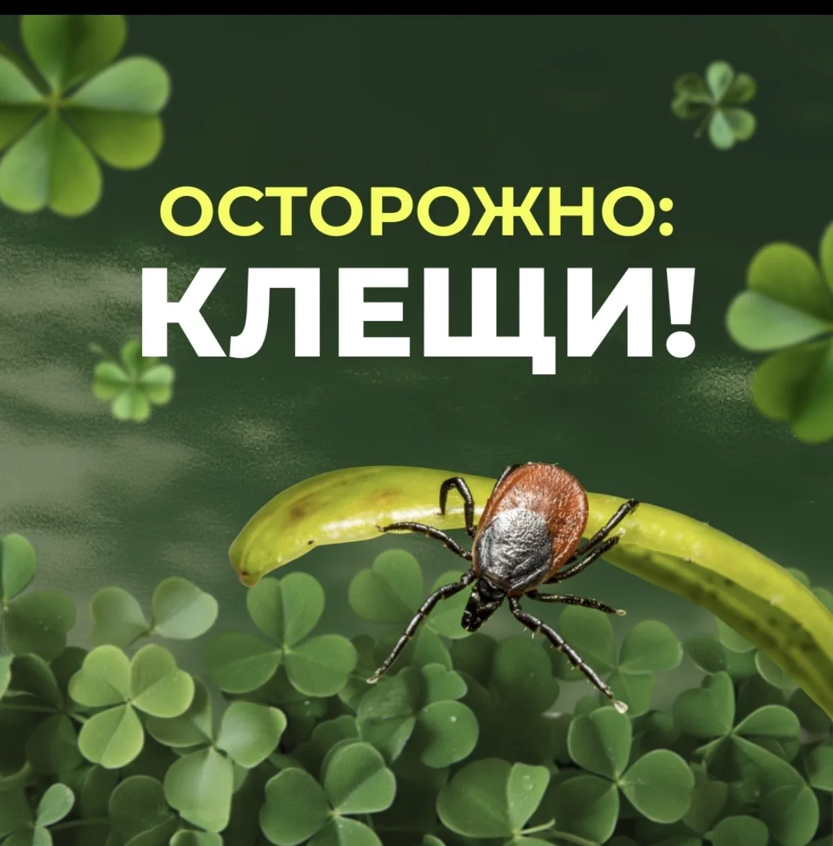 ☀ Совсем скоро начнутся летние каникулы — время прогулок, поездок, отдыха у бабушки и н...