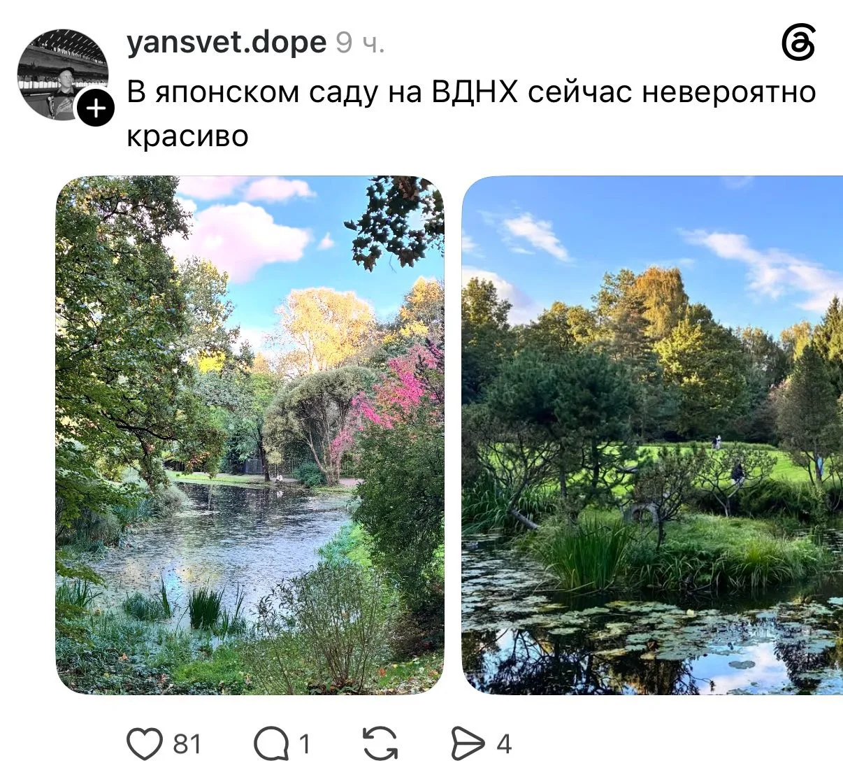 Божечки, гляньте, как сейчас красиво в японском саду на  ВДНХ! Отправляемся туда за доз...