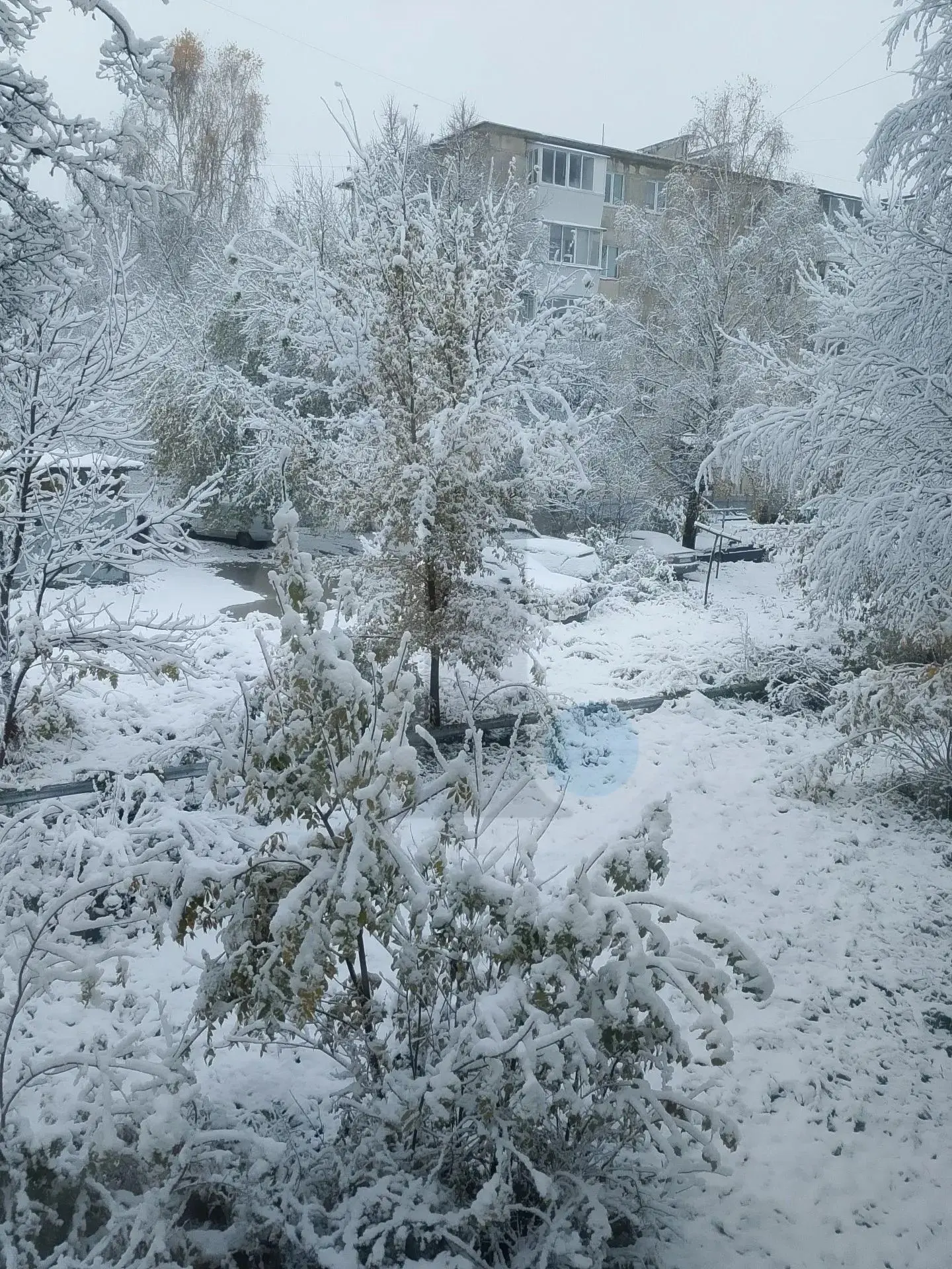 ❄️Снег добрался до Челябинска