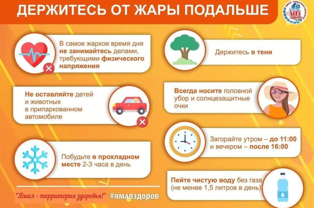 ☀️ На Ямале царствует лето!