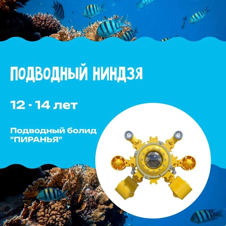 🚀 РЕГИСТРАЦИЯ НА ЧЕМПИОНАТ ПО ПОДВОДНО-ИССЛЕДОВАТЕЛЬСКОМУ СПОРТУ В САНКТ-ПЕТЕРБРГЕ!  Отборочный чемп