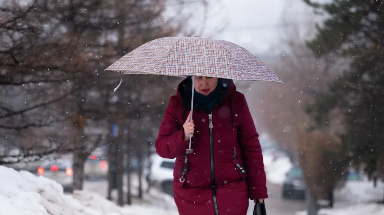 Сегодня днем в Хабаровске температура воздуха составит 5.. 7 °C. Ветер северо-восточный 7 - 12 м/с. 