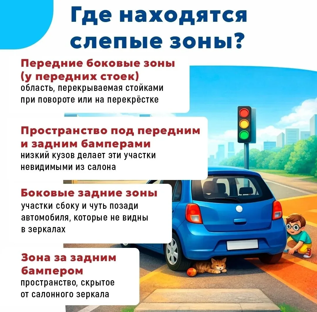 Секрет «слепых зон» — почему нельзя выбегать из-за машин даже во дворе?🛣

Даже у дома опасно внезап