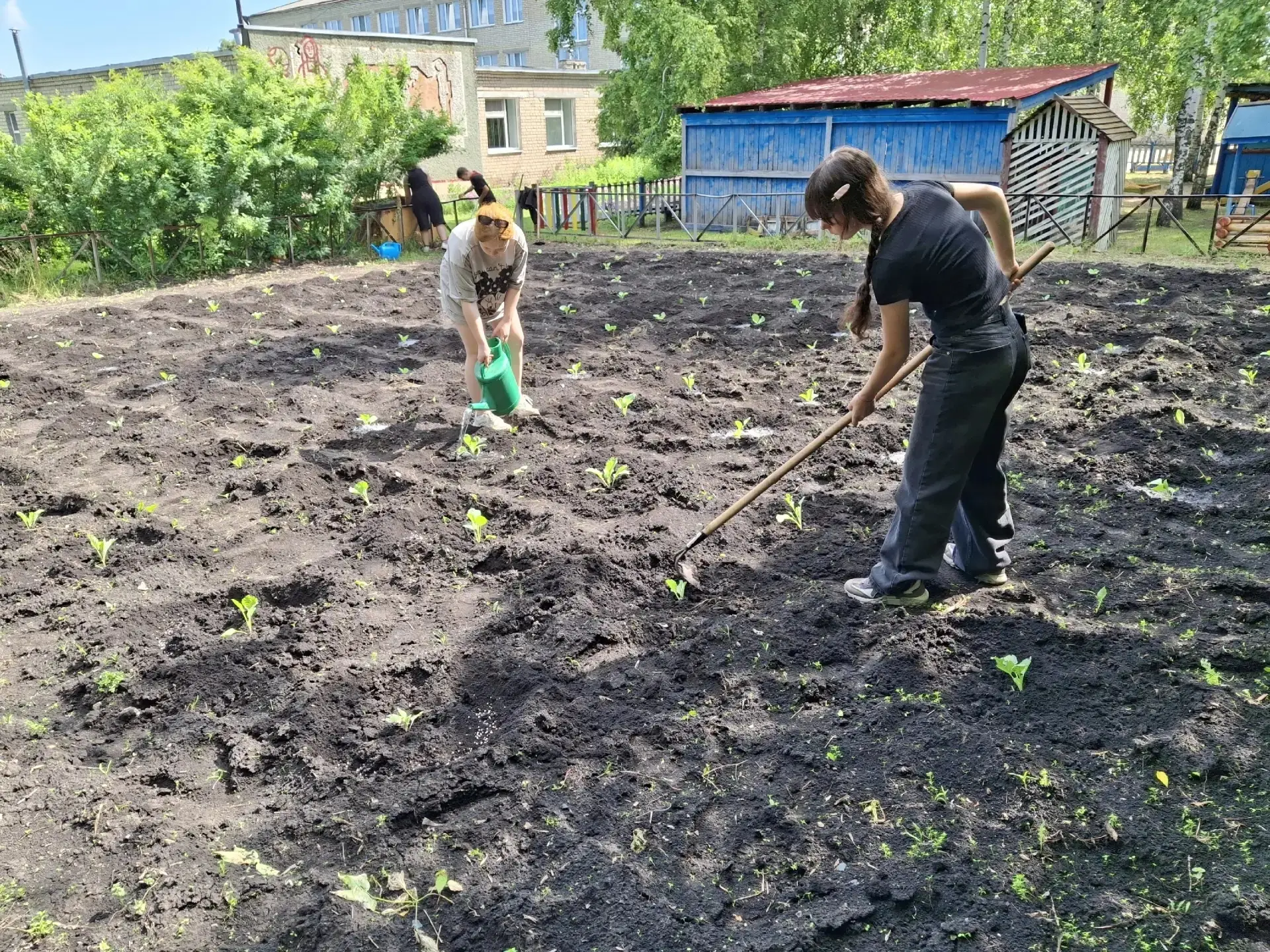 #ПришкольныйУчасток