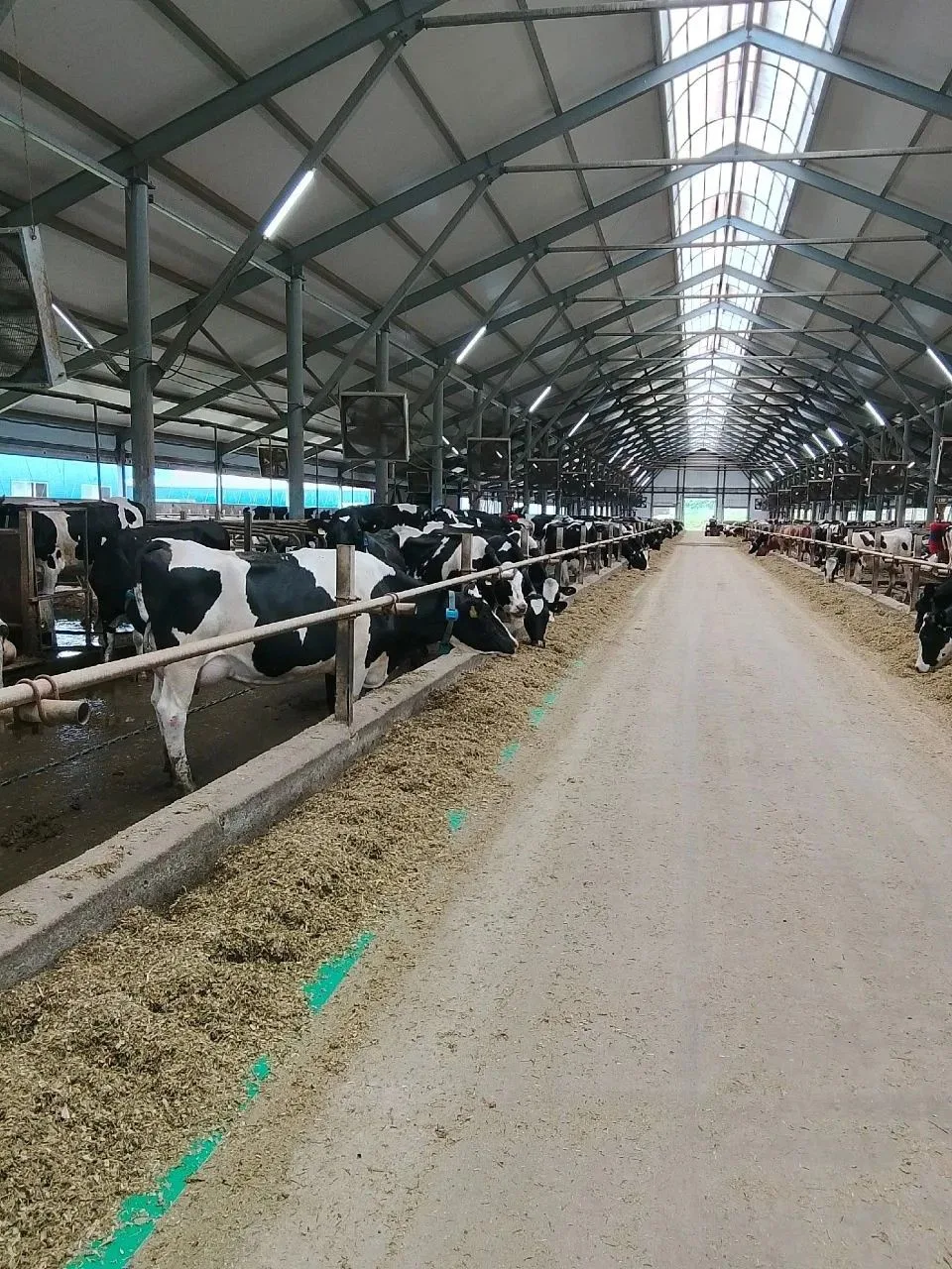 🐄 Практика в полях