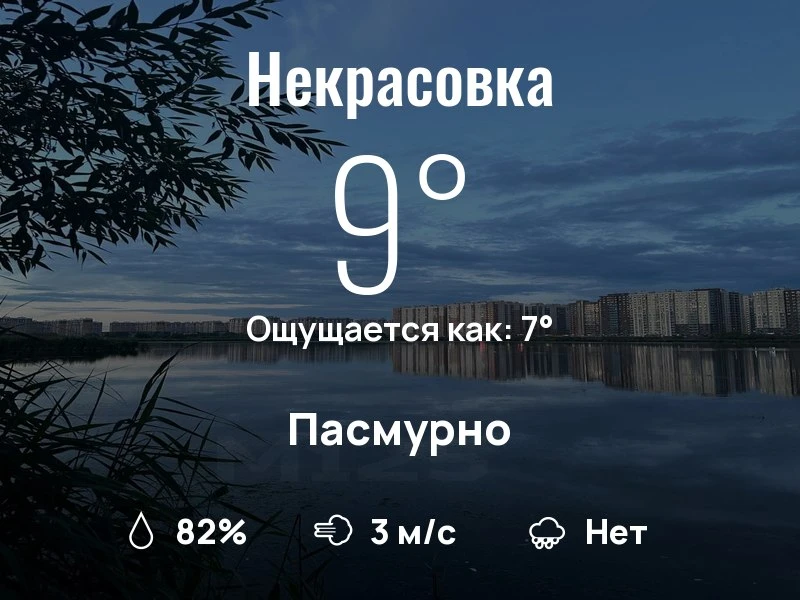 Что с погодой в Некрасовке?