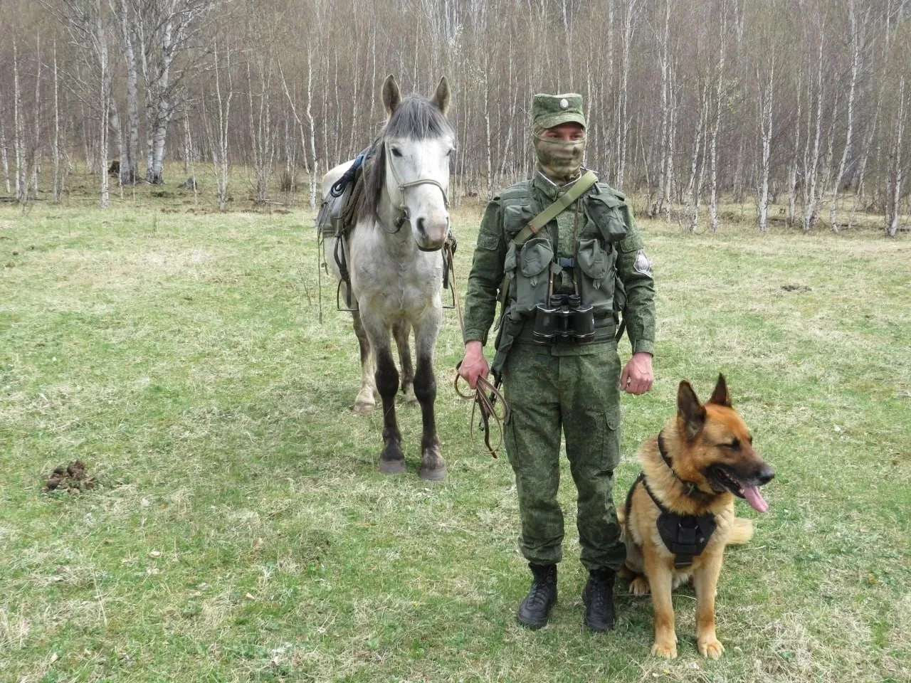 Турнир по конному спорту ко Дню пограничных войск пройдет в Улан-Удэ