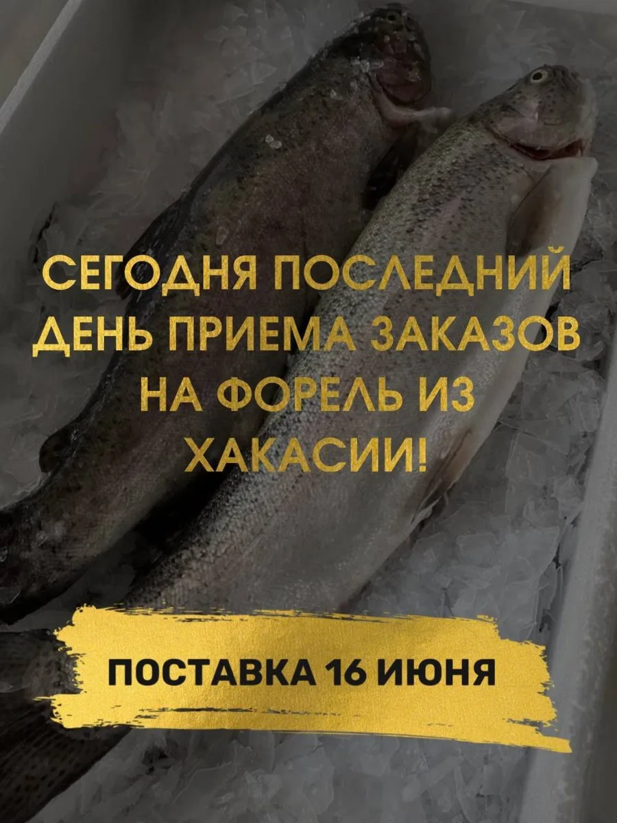 ПОСЛЕДНИЙ ДЕНЬ ПРИЕМА ЗАКАЗОВ НА ОХЛАЖДЕННУЮ ФОРЕЛЬ

🐟Дата поставки 16 июня🐟

▪️ Форель охлаждённа