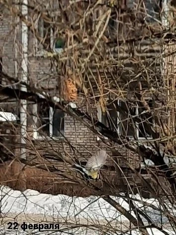⭐Обучающиеся 7 "К" класса принимают участие в городском экологическом фестивале "Экологический кален