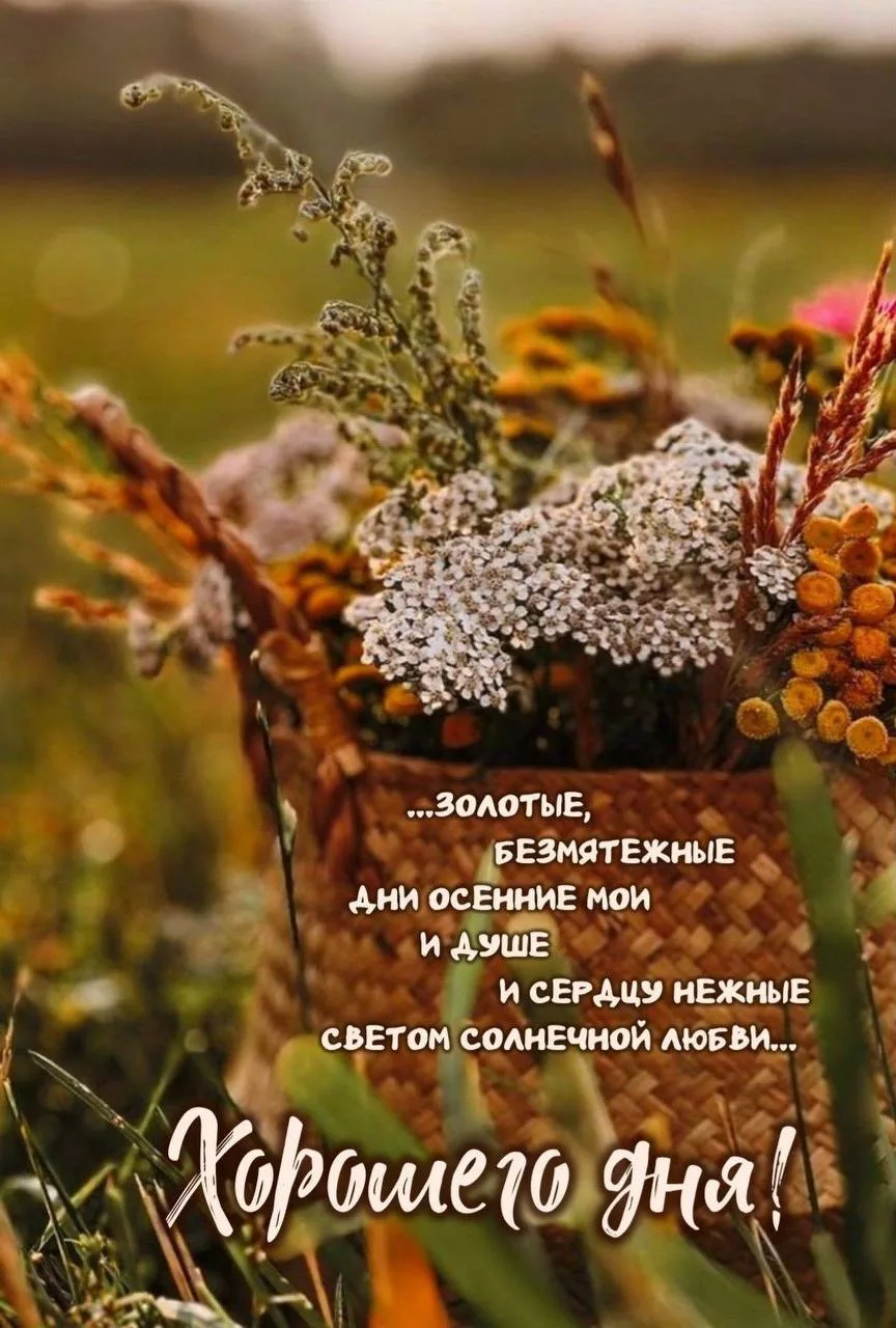 Женские открытки💝