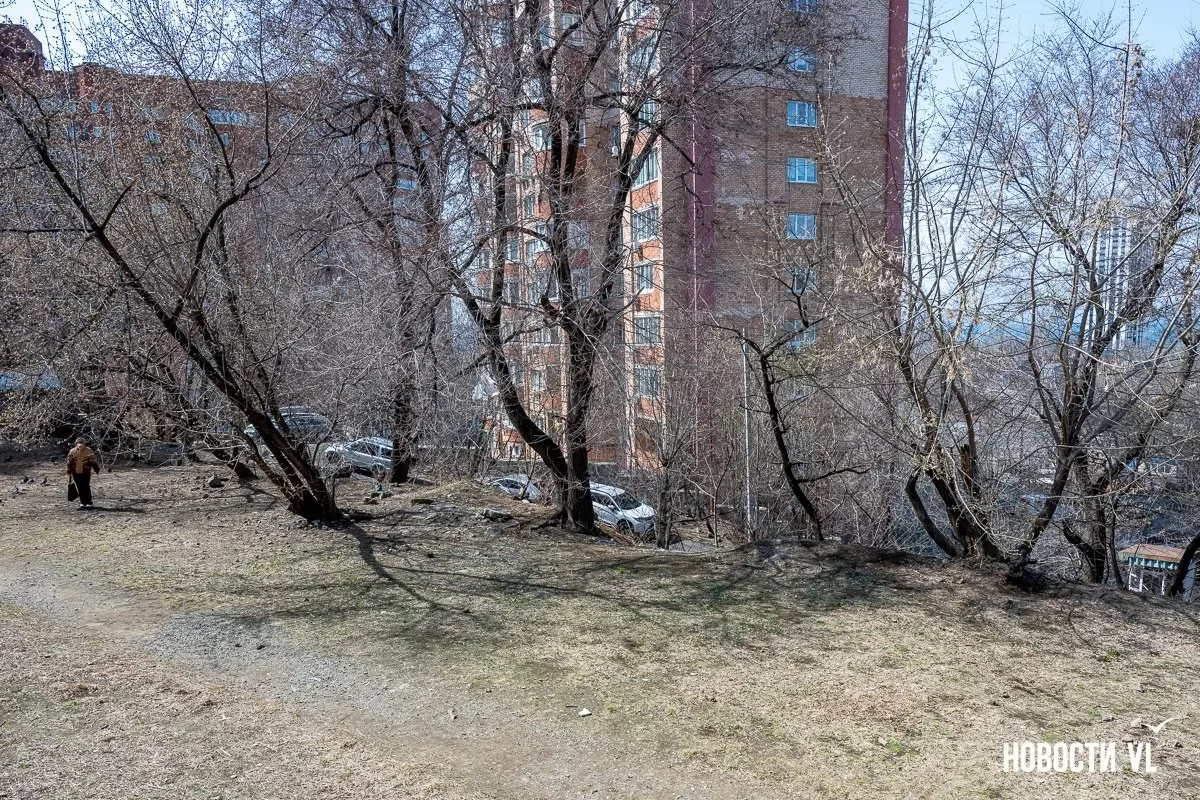 Создатели лучших парков Владивостока судятся с мэрией, чтобы построить многоэтажку возле Центра детс