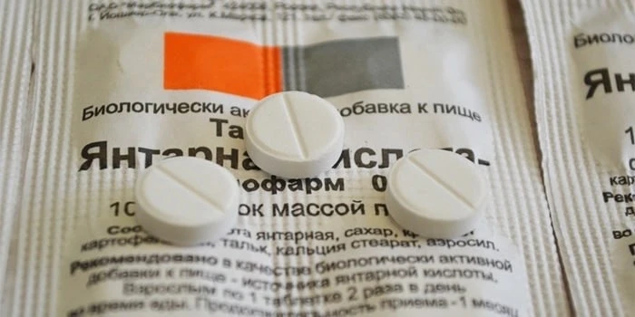 🌿Комнатные растения🌿