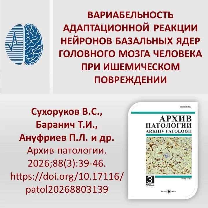 Вариабельность адаптационной реакции нейронов базальных ядер головного мозга человека при ишемическо