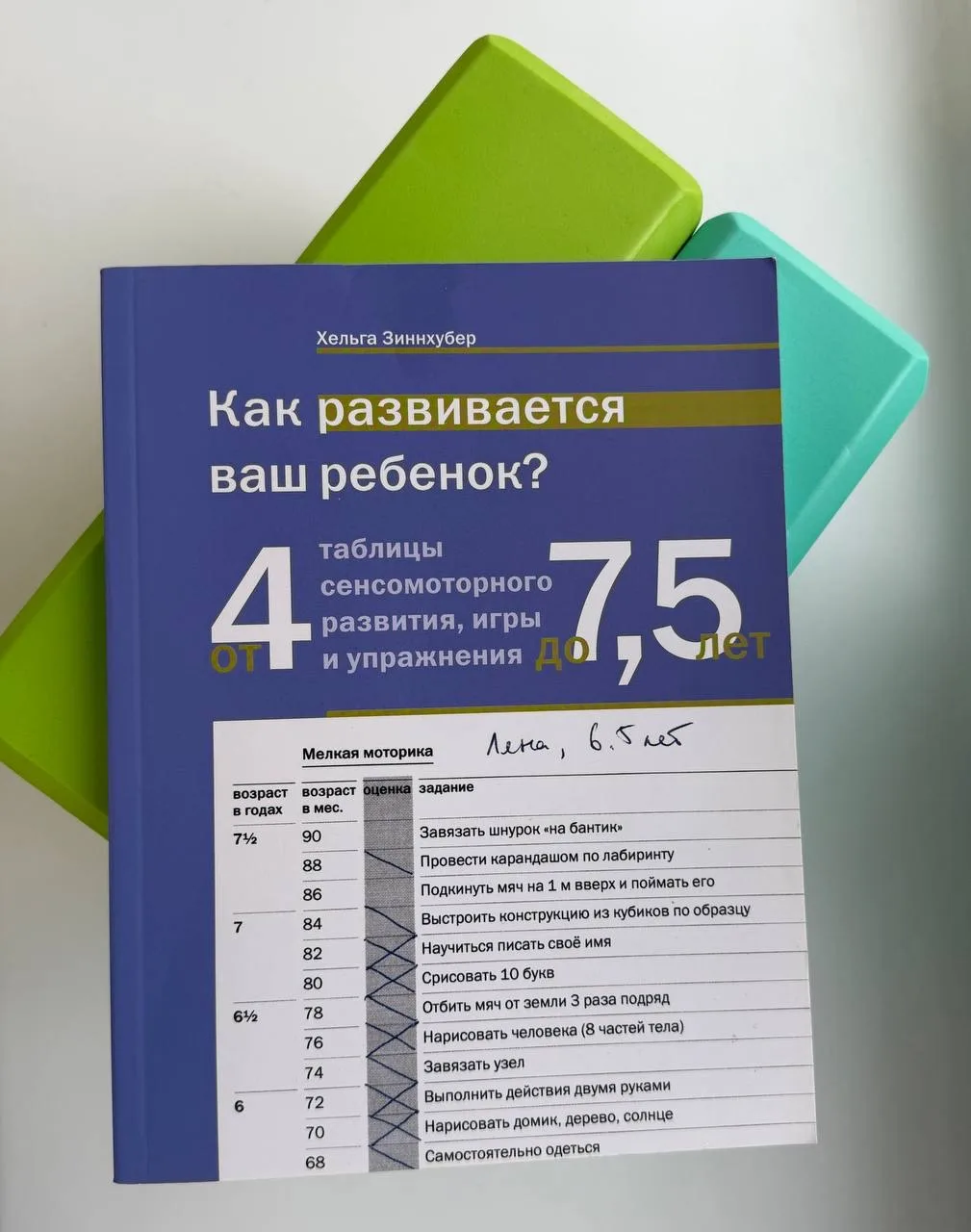 Оценка двигательных навыков