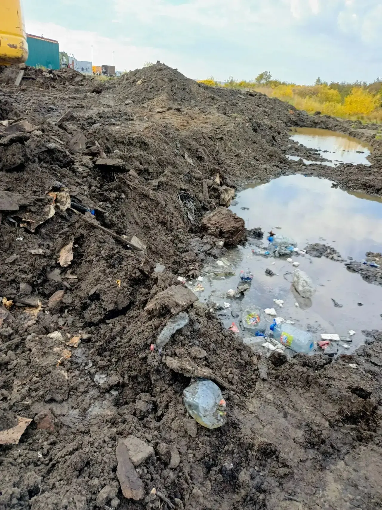 🚜 Следы гусениц: на Таймыре перед судом предстанет начальник участка за уничтожение растительного сл