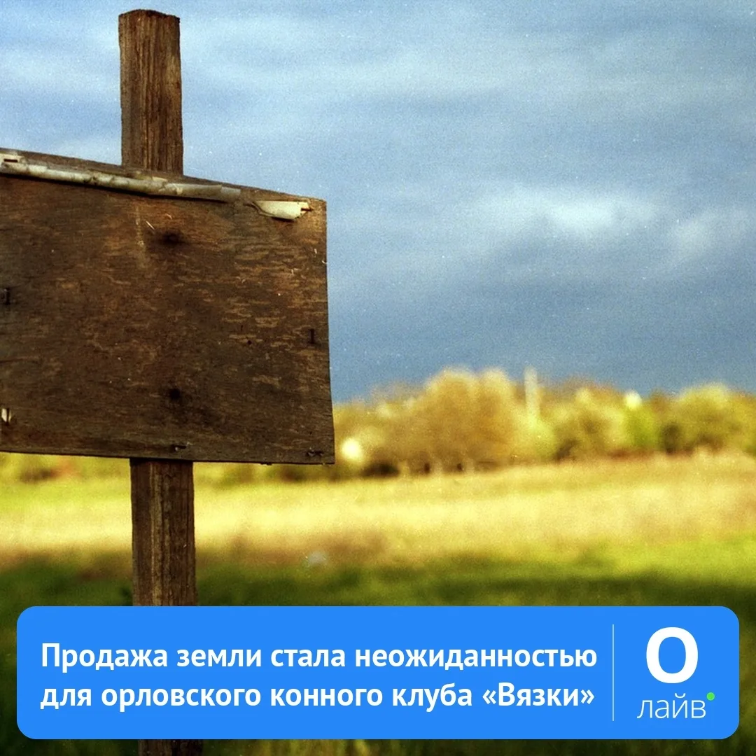 🌳 Продажа земли стала неожиданностью для орловского конного клуба «Вязки»