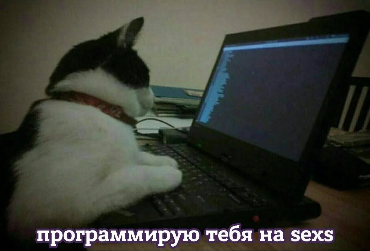 День Программиста отмечается сегодня