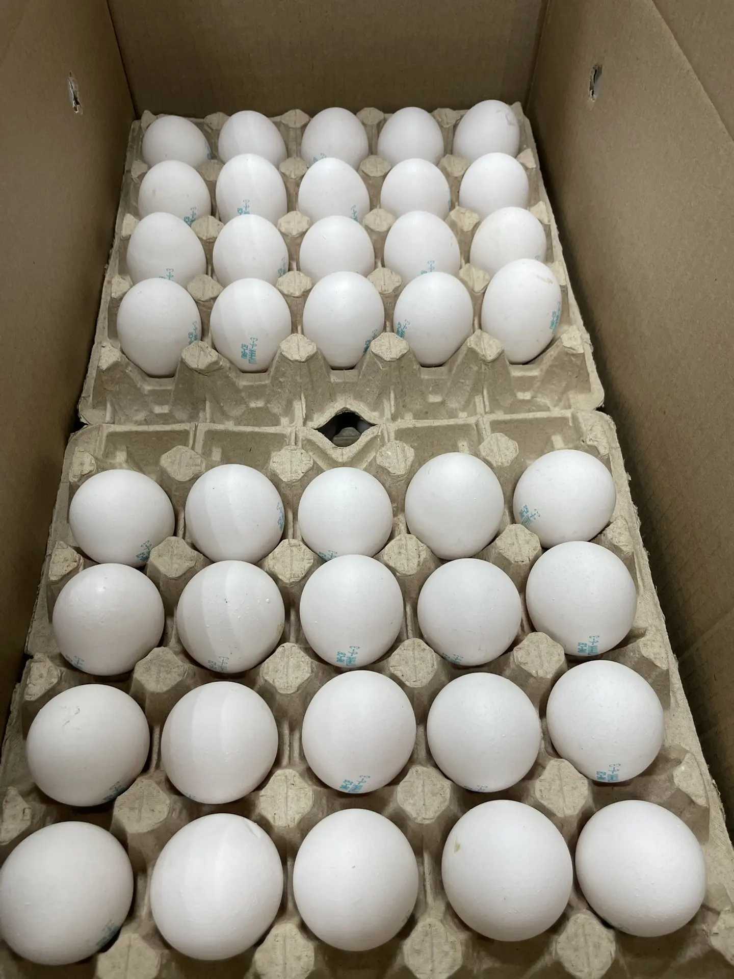 Новый завоз свежих яиц, с двойными желтками 🐣