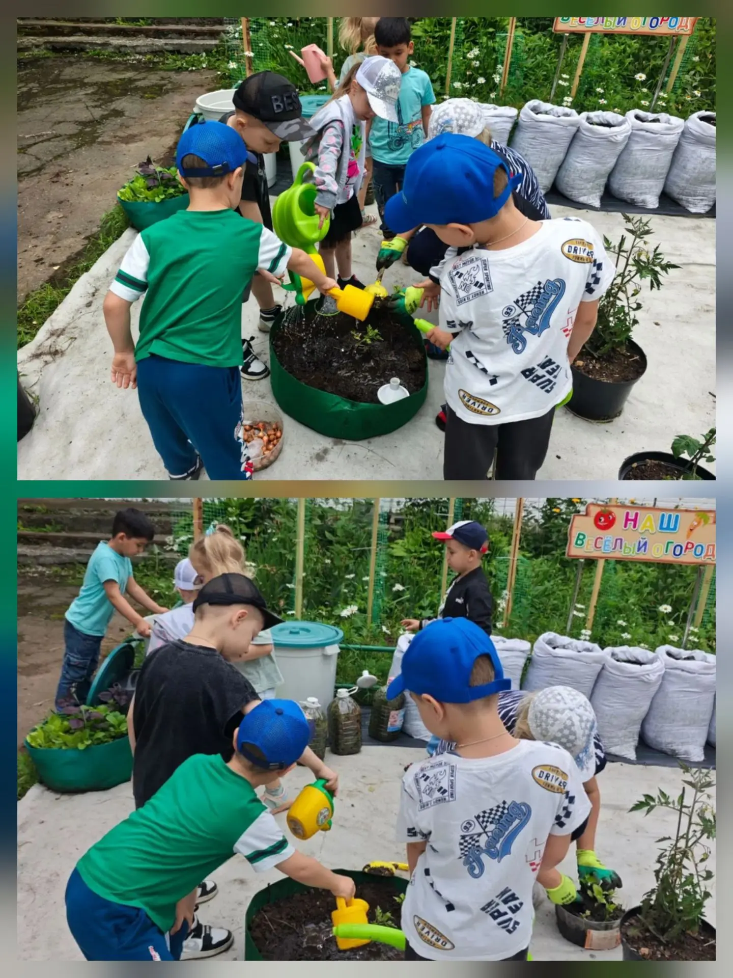 🍉🌶️ Огородные новости!
Сегодня у нас настоящий день посадки:
✅ рассада арбузов
✅ рассада перцев
✅ 