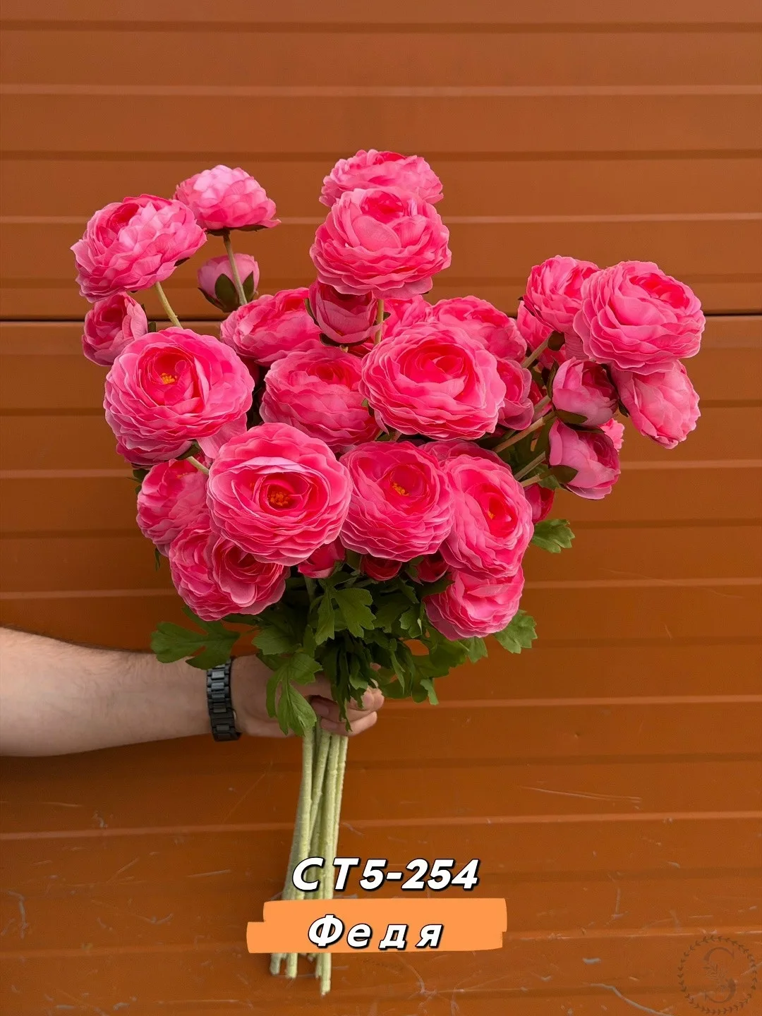 https://vk.com/photo-184814919_493322835