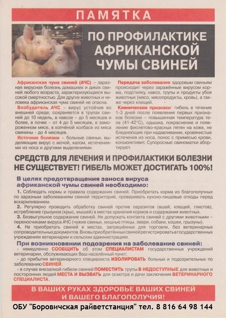 Внимание владельцев животных!