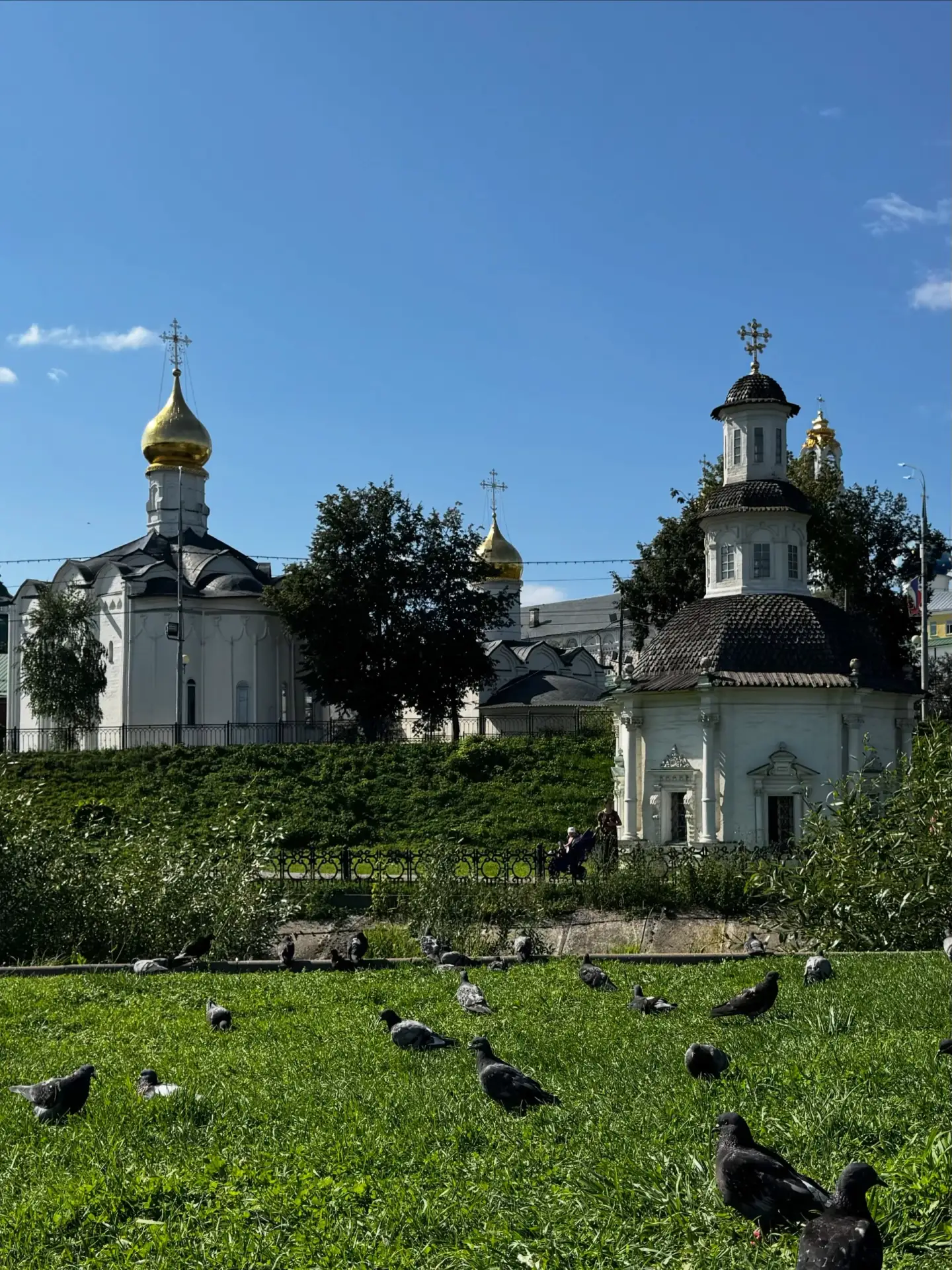 По Золотому кольцу… Сергиев Посад

lexx153
⠀
⠀