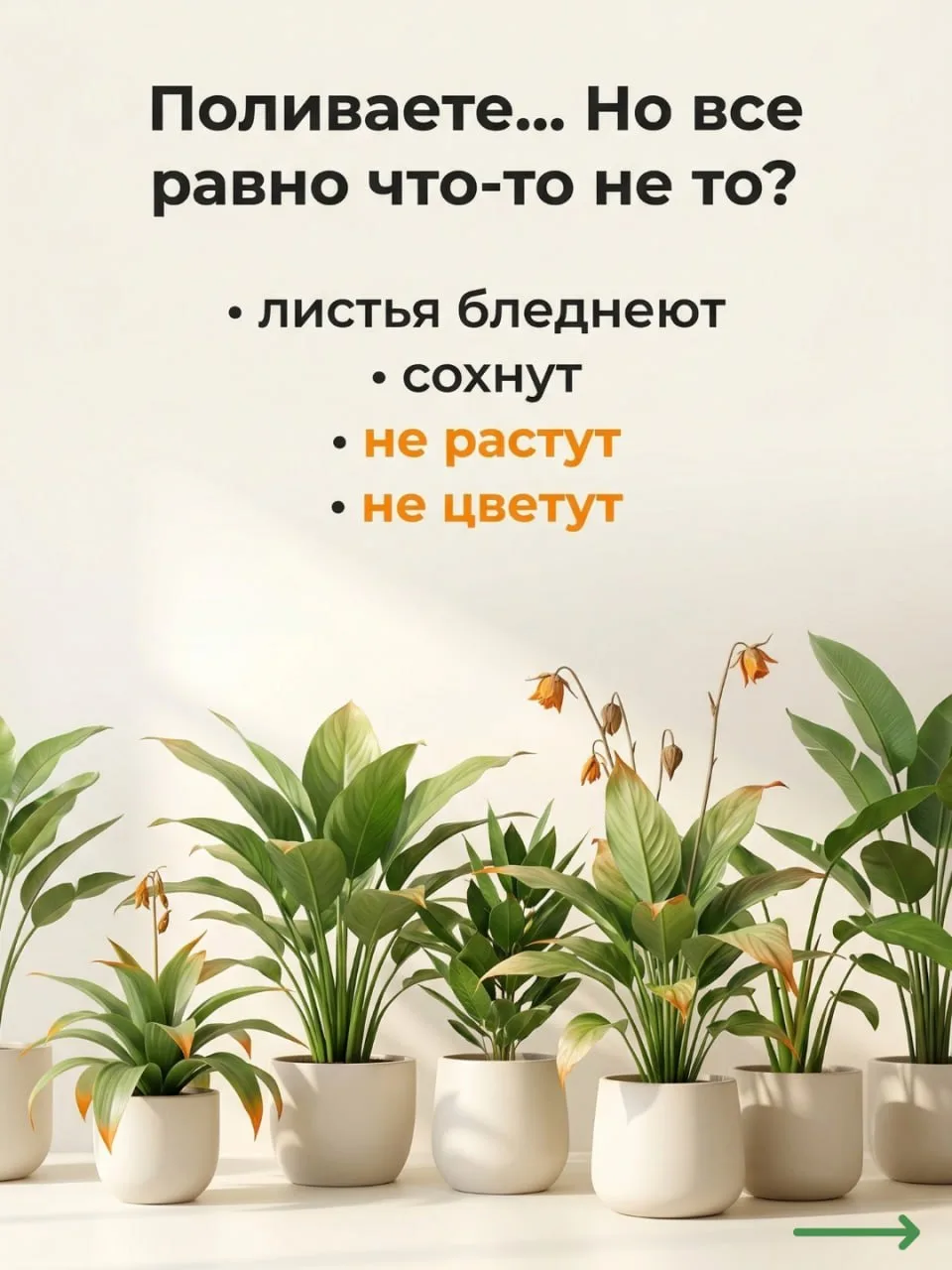 Секреты полива и питания комнатных джунглей: шпаргалка от ОрганикМикс 🌿  По статистике 93% россиян в