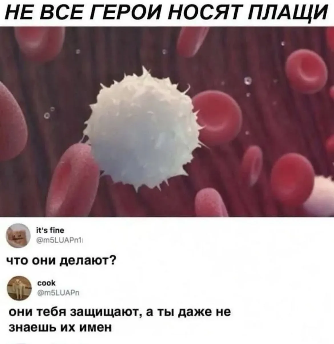 Рафаэлло?

Тётя Фанни