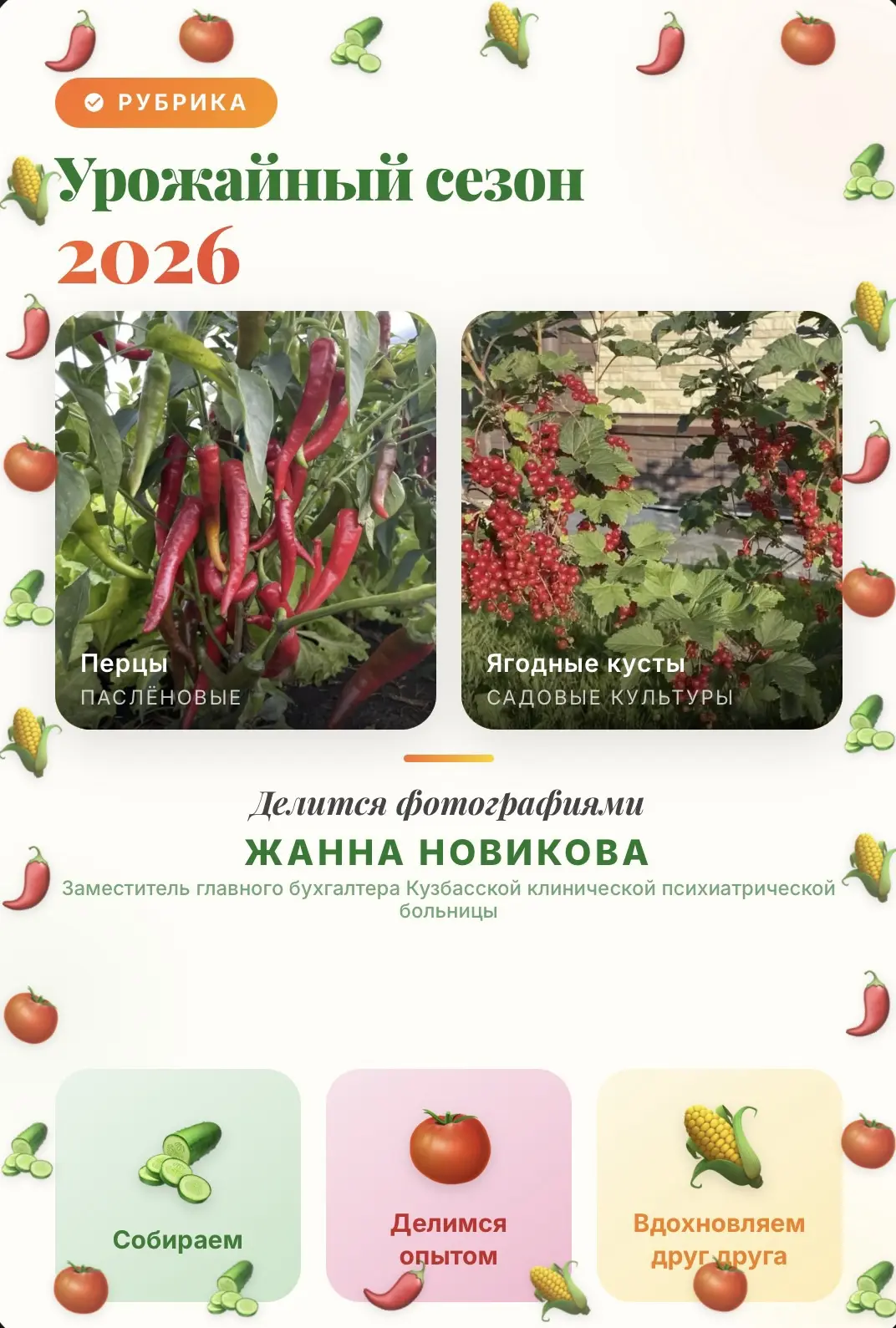 «УРОЖАЙНЫЙ СЕЗОН -2026»