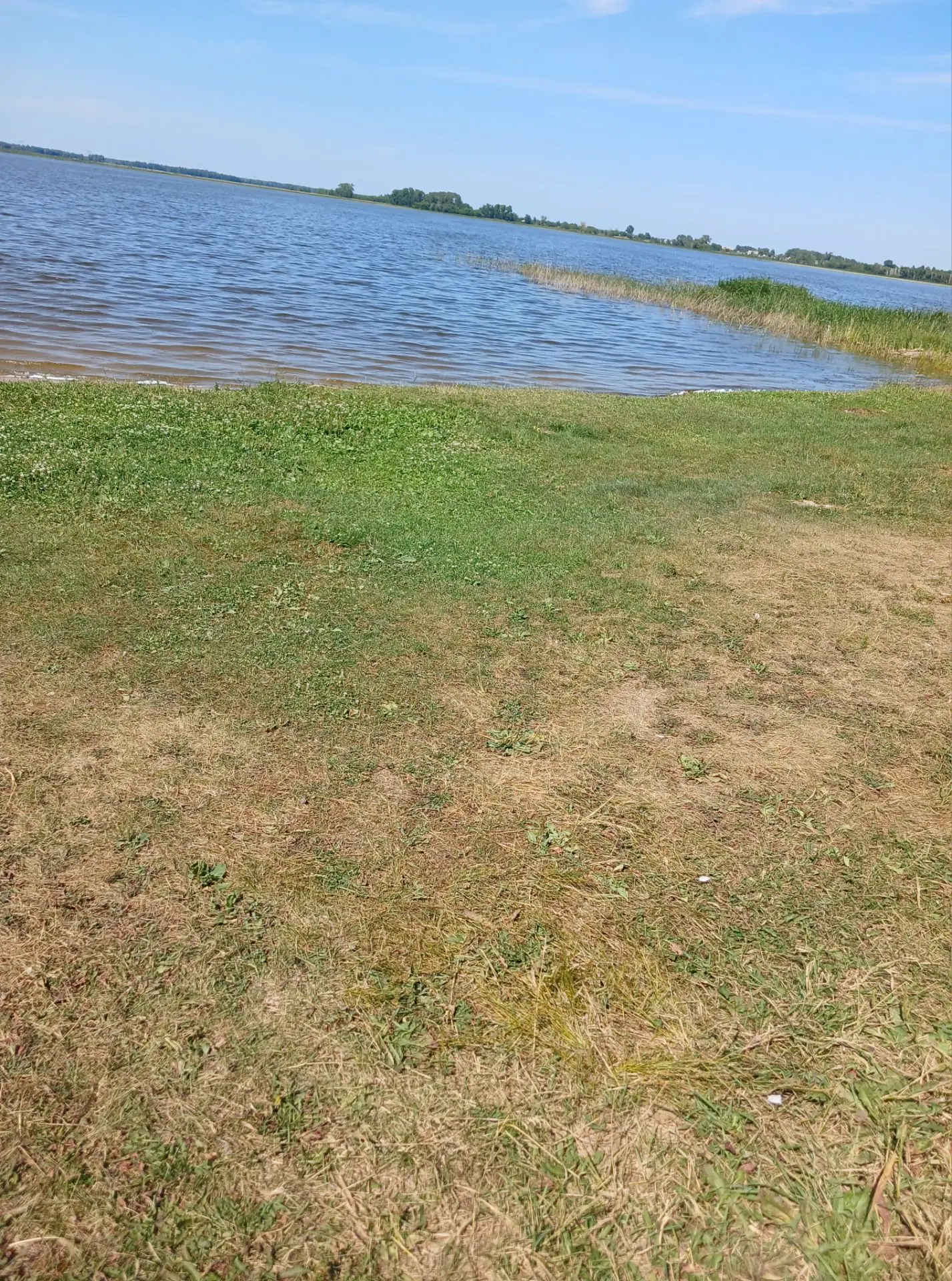 22.07.26
По соблюдению норм безопасности при отдыхе у водоемов проводит еженедельно рейды Родительск