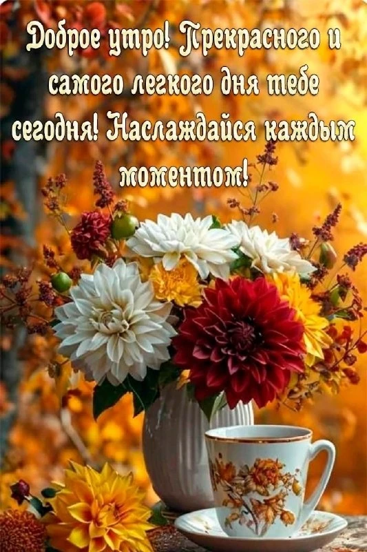 Открытки: подписаться ❤️