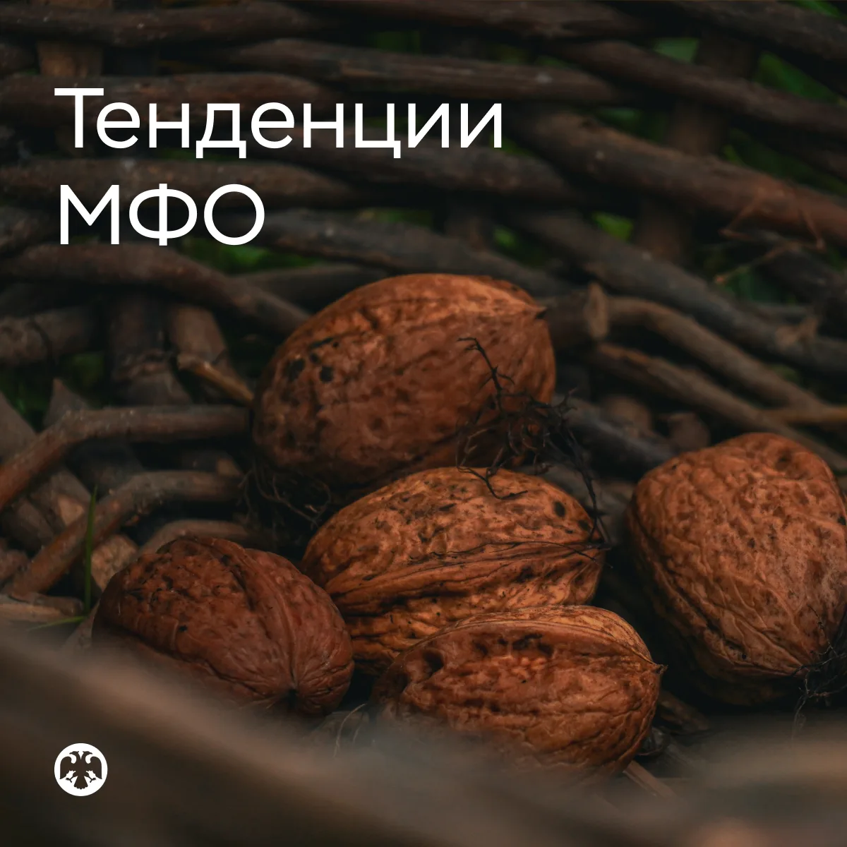 #ТенденцииМФО